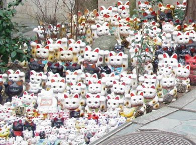 20070209bb.jpg