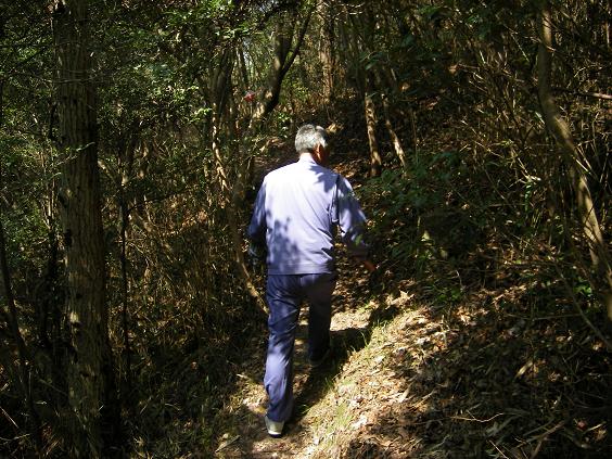 20080409b.JPG