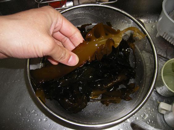 2009021407.JPG