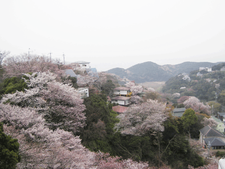 200904bb.gif