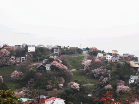 200904cc.gif