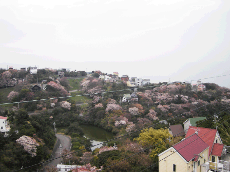 200904dd.gif