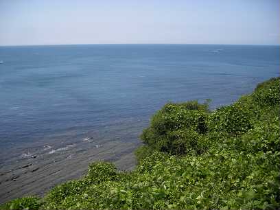 IMGP4817.jpg