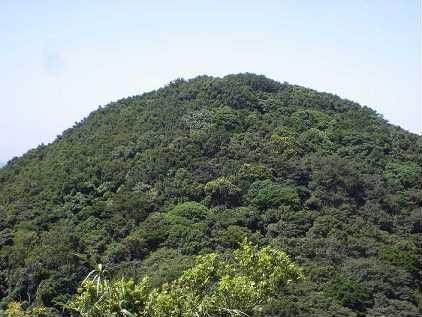 IMGP5193.jpg