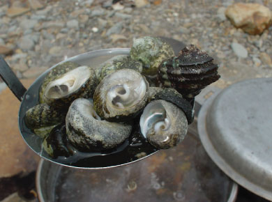 海の見える田舎での日々 バーベキュー 海の見える別荘にて